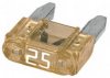 LIEB 10678050 Fuse